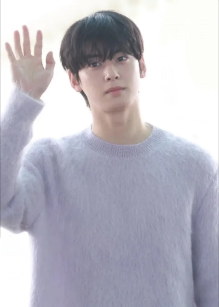 Cha Eun-woo – Wikipedia tiếng Việt