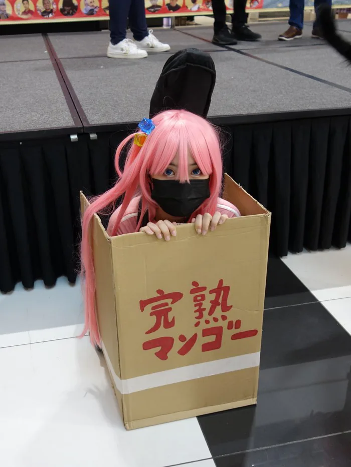 Tập tin:Cosplay of Hitori Gotoh at Cosplay Mega Gathering 2.0.jpg –  Wikipedia tiếng Việt
