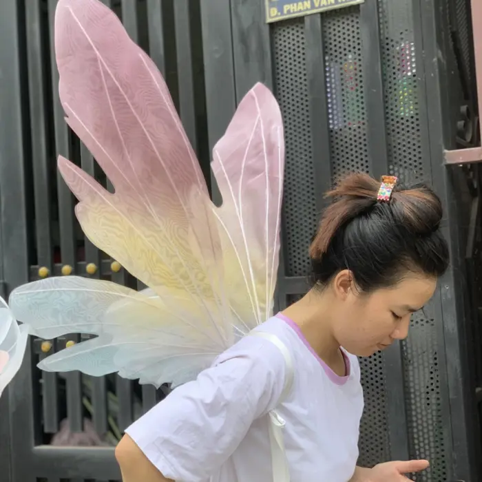 Cánh Thiên Thần, Phụ Kiện Chụp Ảnh, Cosplay