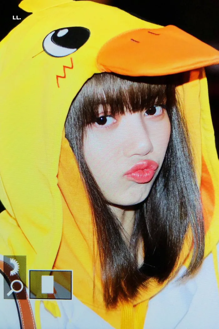 Jisoo và Lisa chiếm trọn spotlight sân bay với màn cosplay thỏ - vịt 