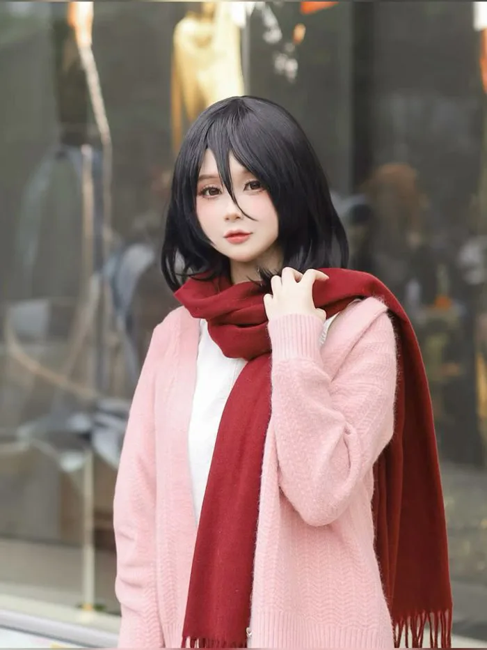 Mikasa Ackerman (Kid ver) | Attack on titan, Sắc đẹp, Tinh