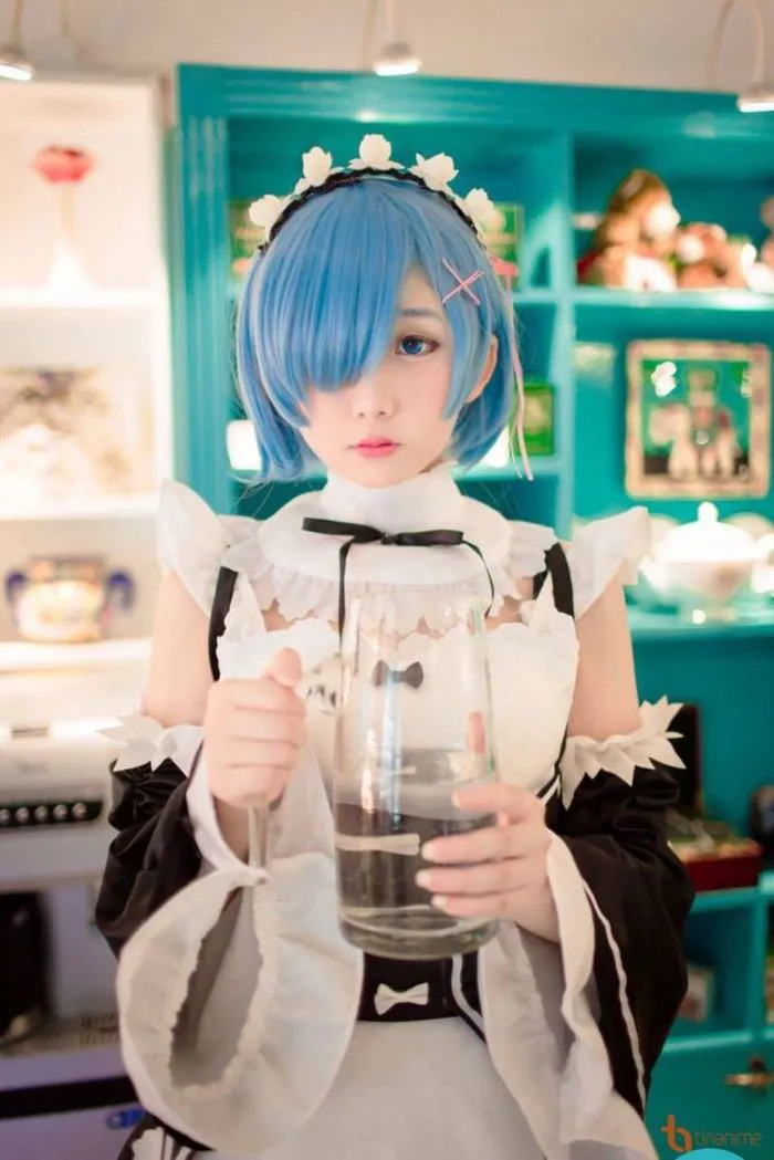 Shop ảnh anime - Phần 9 :Rem , Ram