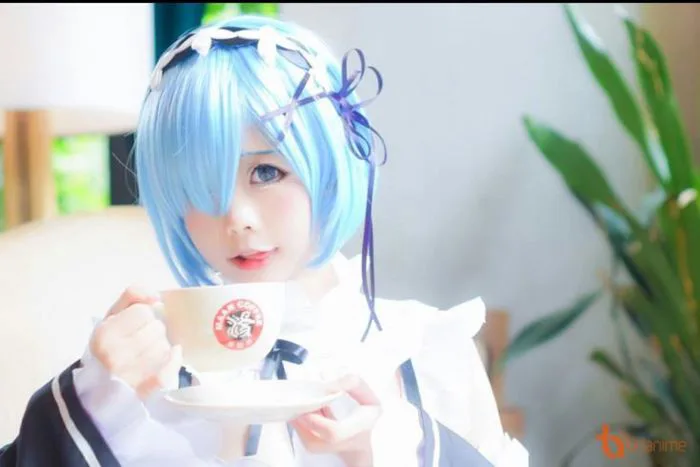 Shop ảnh anime - Phần 9 :Rem , Ram