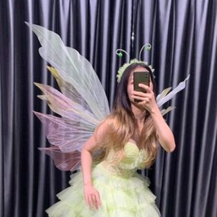 Cánh Thiên Thần, Phụ Kiện Chụp Ảnh, Cosplay
