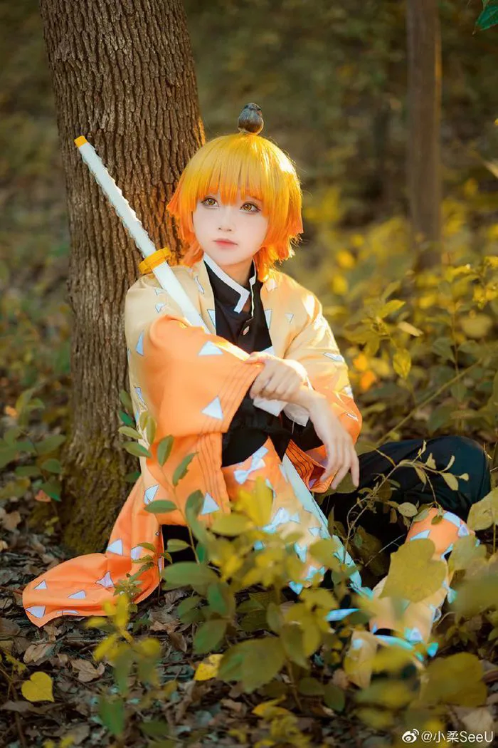 Agatsuma Zenitsu | Cosplay đẹp nhất, Nghệ thuật anime, Công chúa