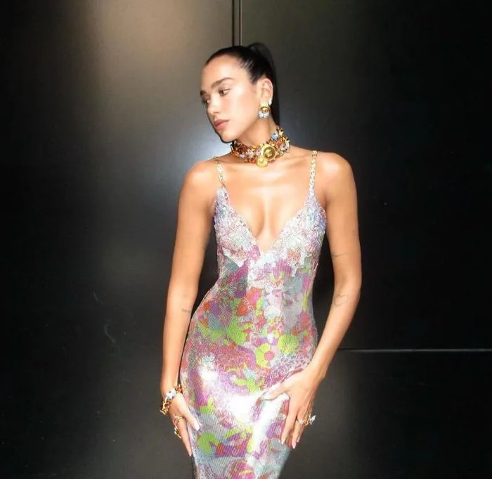anh-dua-lipa-1