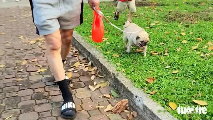 Người nuôi chó, mèo tại TP.HCM phải khai báo với UBND cấp xã, phường, đặc  khu - Tuổi Trẻ Online