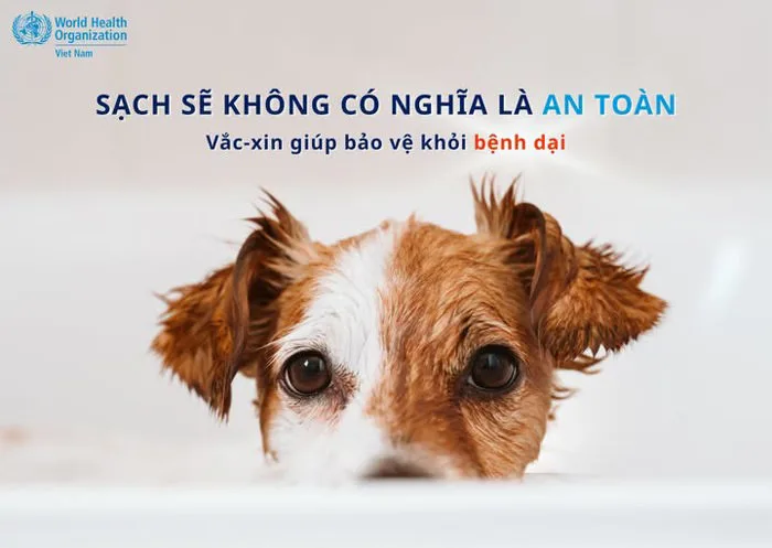 Thú cưng sạch sẽ chưa chắc đã an toàn trước sự tấn công của virus dại
