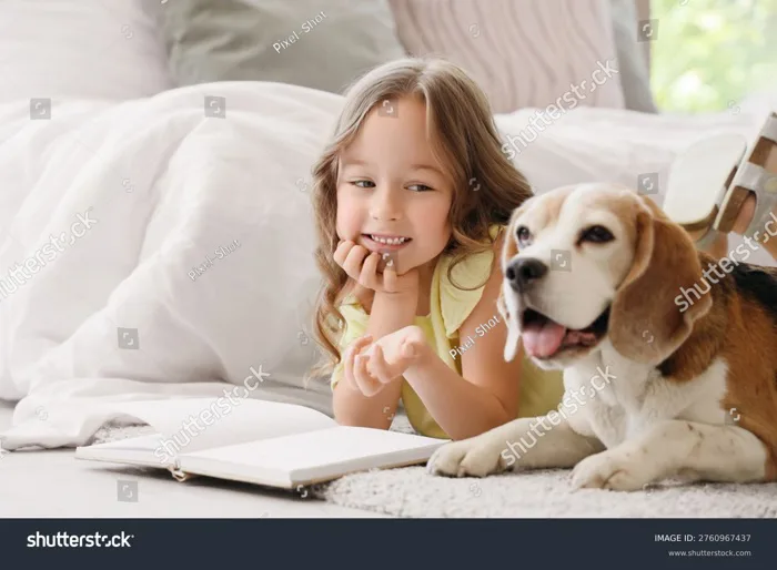 Girl, dog : 470 nghìn ảnh, hình ảnh có sẵn và ảnh miễn phí bản quyền |  Shutterstock