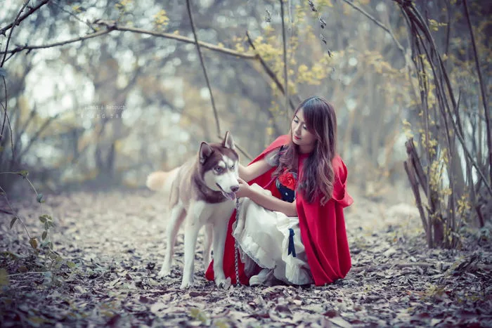 Bộ 20 ảnh cô bé quàng khăn đỏ tuyệt đẹp