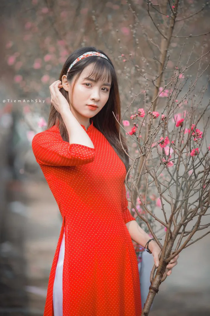 Chụp Ảnh Tết Đẹp - Trọn Gói Chất Lượng Cao Tại Hà Nội