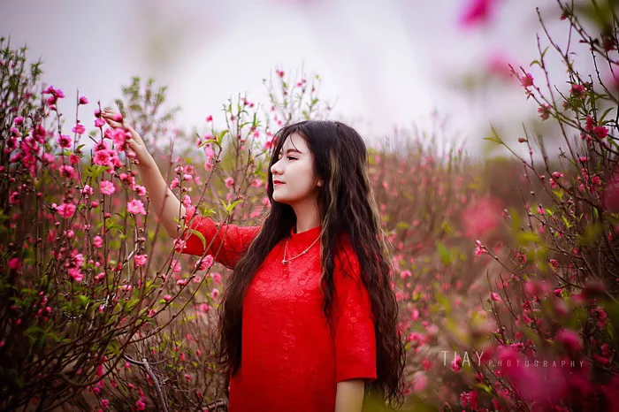 Bộ ảnh girl xinh đón tết phù hợp làm ảnh nền Laptop or Mobile cực đẹp