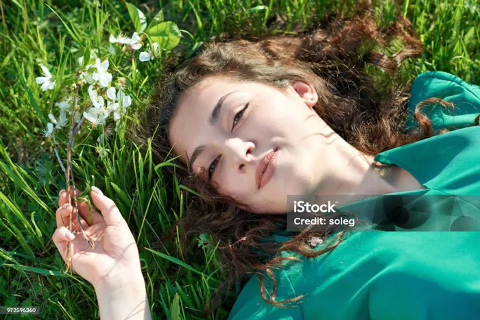 Cô Gái Xinh Đẹp Nằm Trên Bãi Cỏ Vào Ban Ngày Nắng Mặt Cận Cảnh Rừng Mùa Hè  Phong Cảnh Tươi Sáng Với Bóng Tối Hình ảnh Sẵn có - Tải xuống