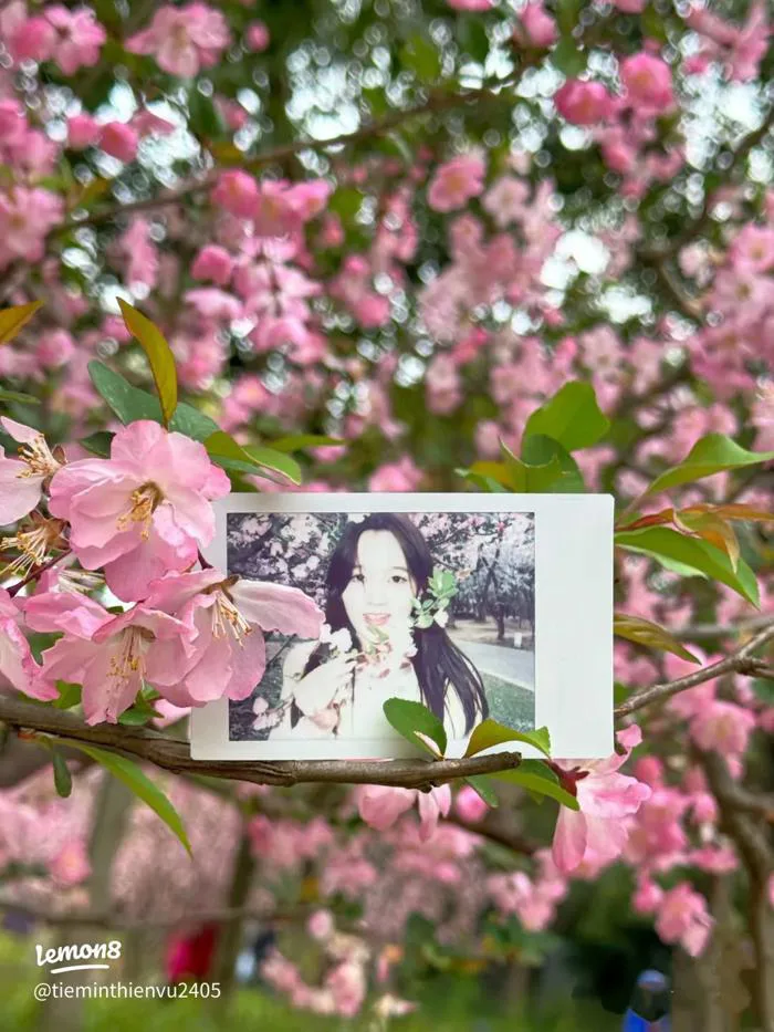 Top 5 ý tưởng ảnh Polaroid đẹp để chụp và in ảnh cực xinh