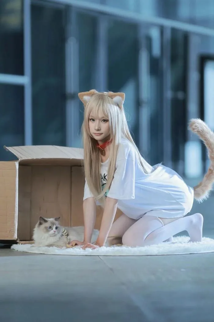 Tải ngay 175+ ảnh cosplay mèo dễ thương và quyến rũ nhất