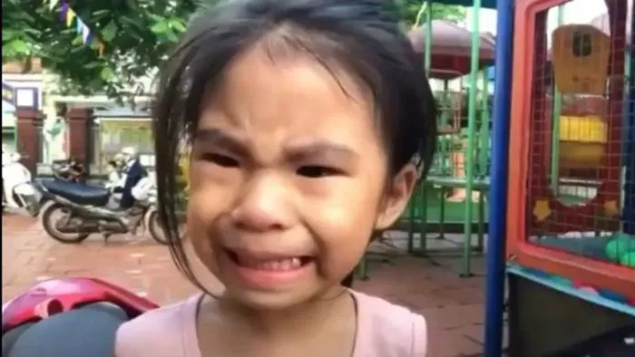 Tổng hợp Top 100+ ảnh meme thú vị, hài hước nhất 2024