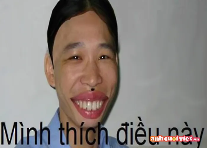 BST 888+ hình ảnh bựa, hài hước để troll bạn bè cực thú vị | Ảnh Cười Việt