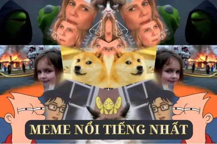 Các meme nổi tiếng nhất: Giải trí với những tấm ảnh siêu hài hước