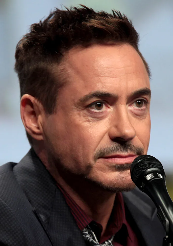 Robert Downey Jr. – Wikipedia tiếng Việt