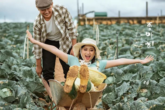 Chụp ảnh cưới Đà Lạt vào mùa nào là đẹp nhất