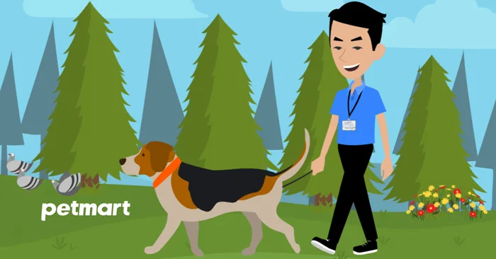 19 điều Cần Biết Khi Dắt Chó đi Dạo Và Tập Thể Dục | Pet Mart Cửa Hàng Thú  Cưng