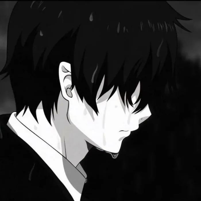 46+ avatar anime đen trắng nam nữ đẹp gây bão cộng đồng mạng
