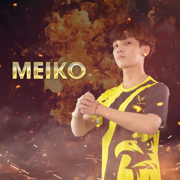 Chàng trai 'con nhà người ta' VGM MeiKo: Học giỏi, đẹp trai, sở hữu 15 HCV  Taekwondo, Đương kim vô địch Free Fire Việt Nam