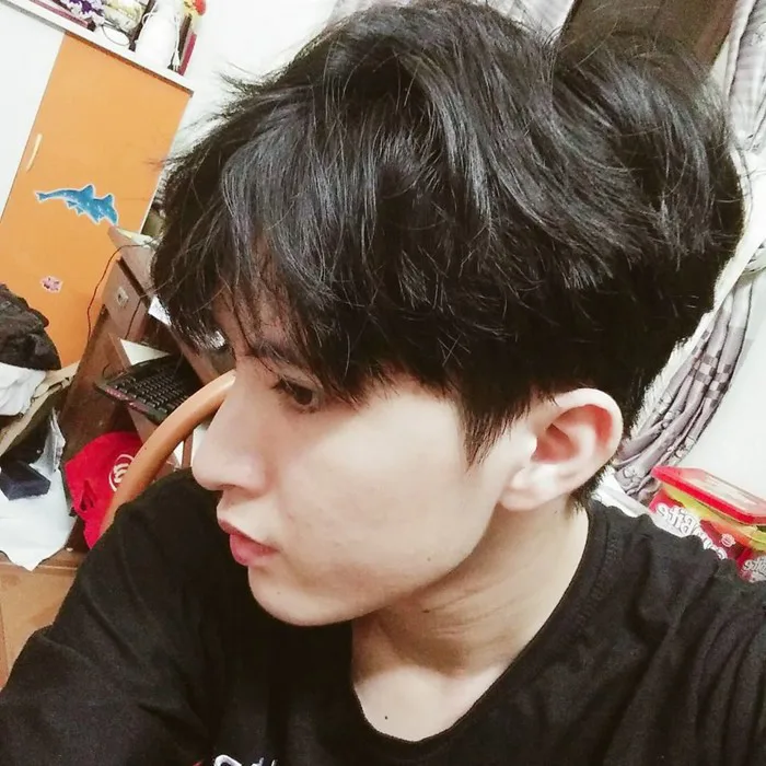 Đứng hình