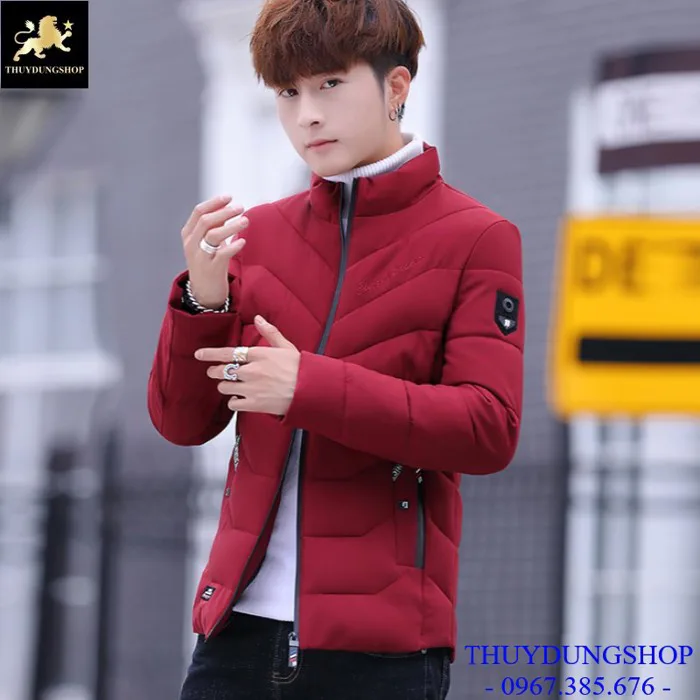 Top 29 mẫu áo phao nam đẹp 2025 – Phong cách và chất lượng tại THUYDUNGSHOP