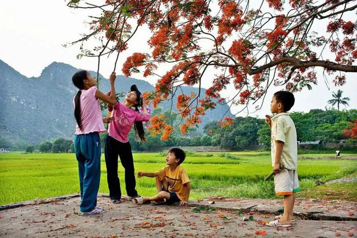 Tổng hợp hình ảnh mùa hè đẹp nhất