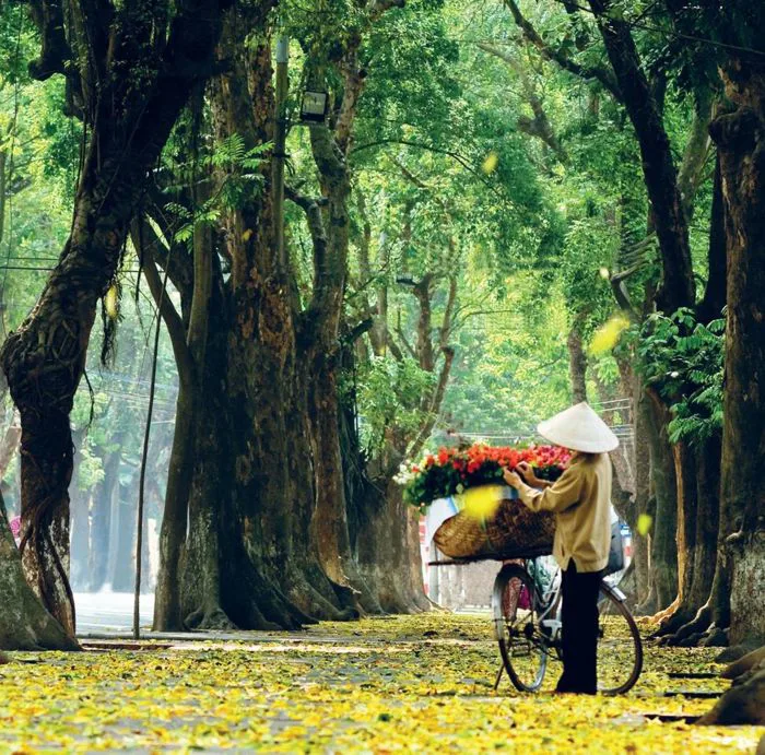 Thủ đô trong trái tim ta