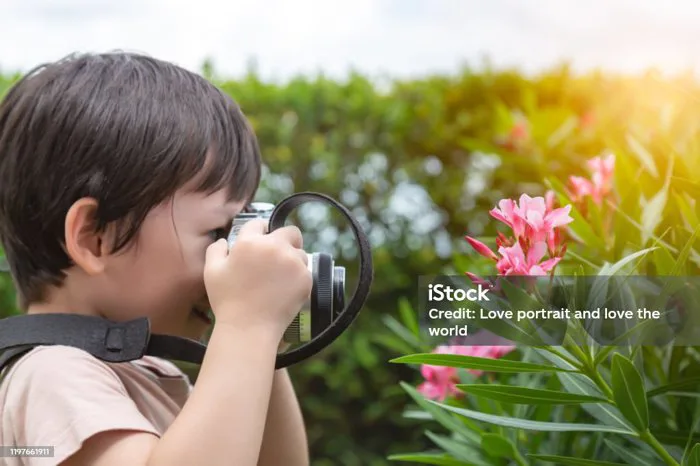 Cậu Bé Châu Á Chụp Ảnh Hoa Vào Mùa Thu Chàng Trai Đẹp Trai Yêu Thiên Nhiên  Và Tận Hưởng Cuộc Sống Khi Đứa Trẻ Đáng Yêu Được Nghỉ Mát Với Hạnh