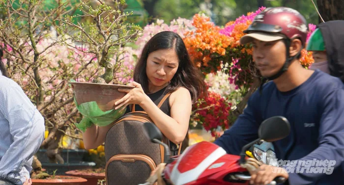 Mưa trái mùa ở Nam bộ: Trong quy luật nhưng không chủ quan