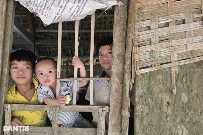 Bố mẹ khờ khạo, 3 đứa con thơ ngơ ngác trong căn nhà tranh mục nát | Báo  Dân trí