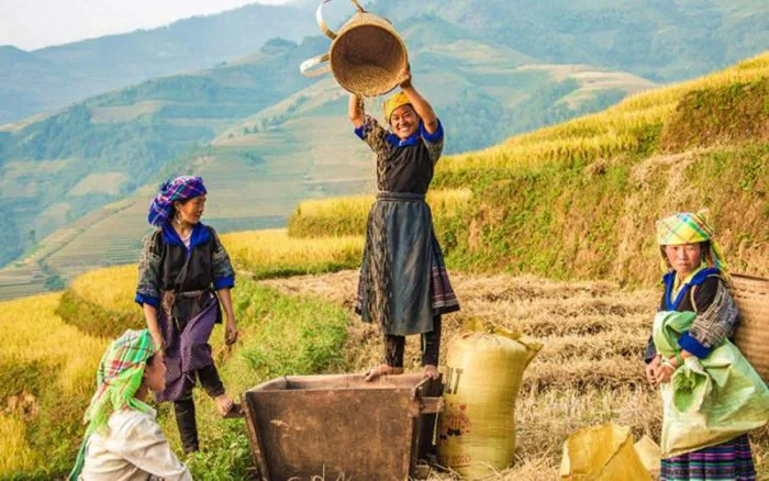 Du lịch Mù Cang Chải: Top 5 địa điểm check-in đẹp nhất hiện nay - MOTOGO