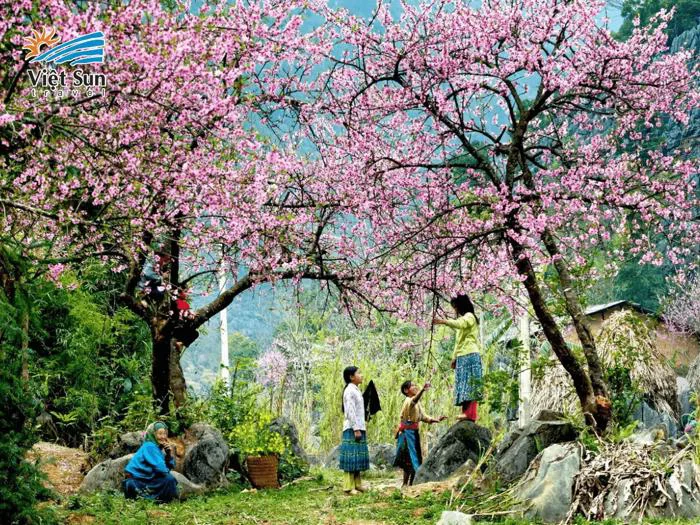 Tây Bắc và những điều thú vị về vùng đất này