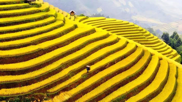 Khám Phá Tây Bắc Tháng 10 – Kinh Nghiệm Du Lịch Không Thể Bỏ Lỡ