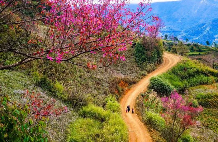 Giải đáp du lịch Tây Bắc mùa nào đẹp để trải nghiệm năm nay