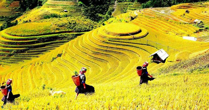 Tăng cường hợp tác phát triển du lịch 8 tỉnh Tây Bắc mở rộng