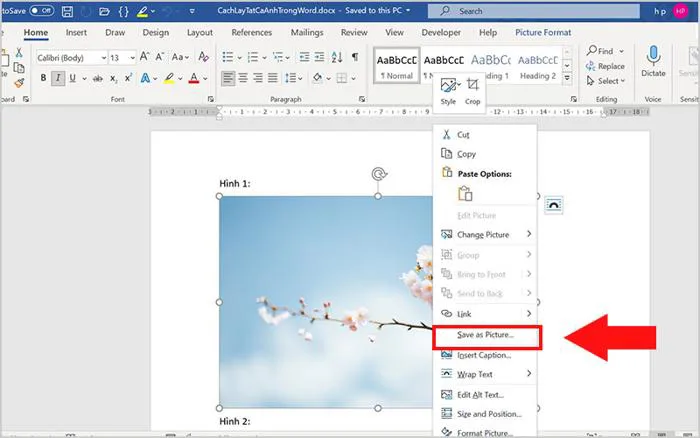 Cách lấy tất cả ảnh trong file Word cực nhanh chóng - Thegioididong.com