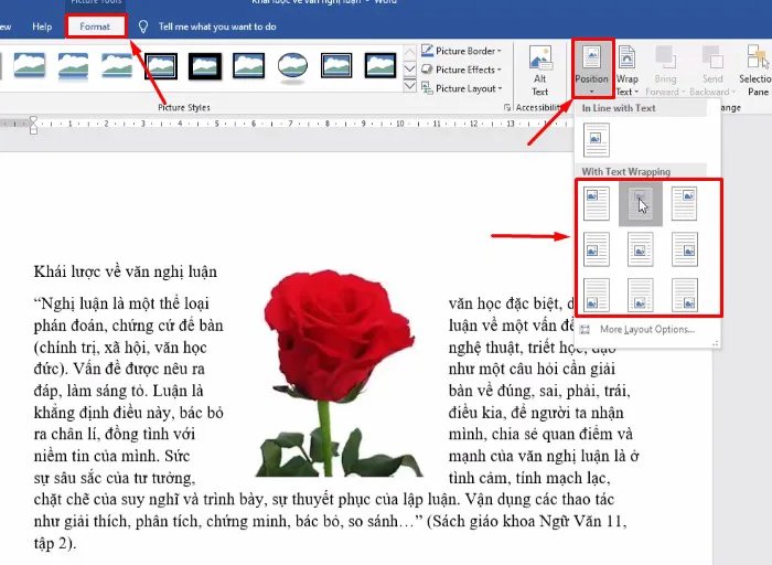 Cách Di Chuyển Ảnh Trong Word Đơn Giản Nhất - TOTOLINK Việt Nam