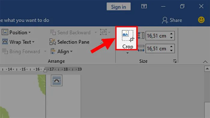 Cách cắt ảnh trong Word cho mọi phiên bản đẹp, cực đơn giản -  Thegioididong.com
